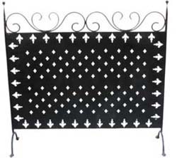 iron screen